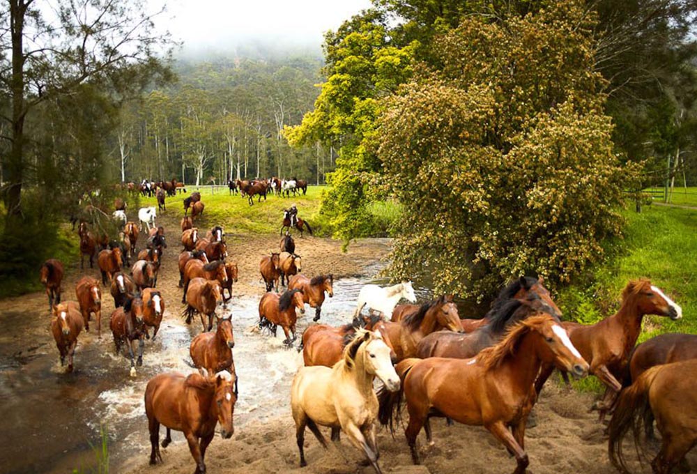 site touristique Australie