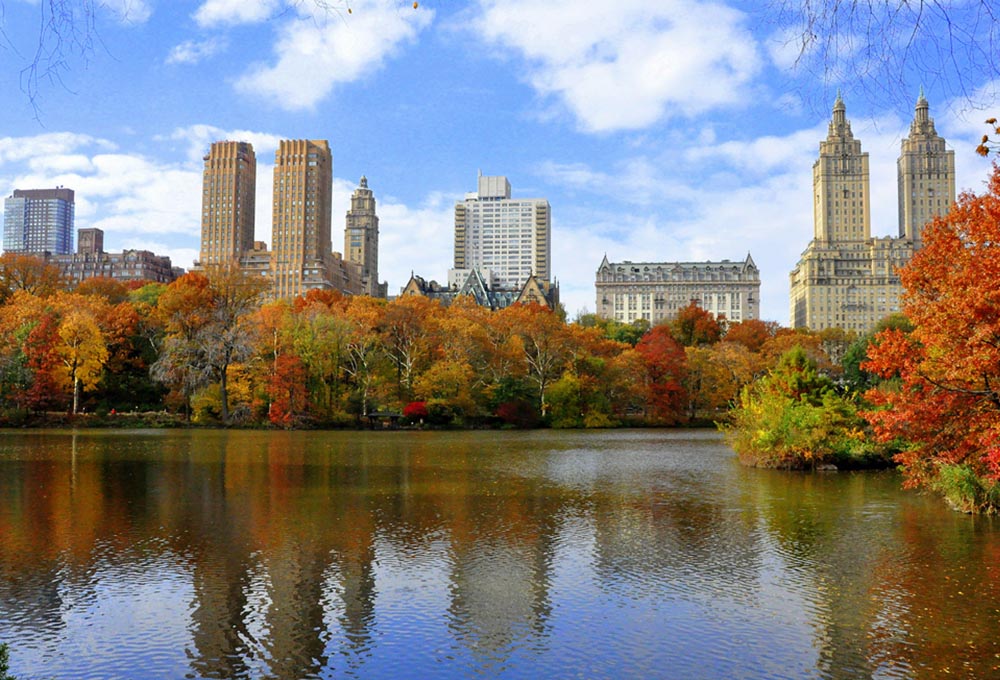 une semaine à new york